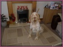 25-12-13_74