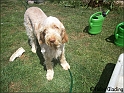 Ava04-07-09