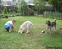 AvaHole13-08-09