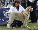 AvaRicmond13-09-09
