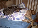 GirlsBed10-09-09