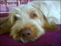 AvaBed24-09-07