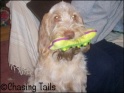 AvaBrightBone25-12-07