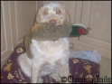 AvaPheasant12-10-07
