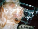 AvaPlastic27-12-07