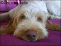 AvaSleep24-09-07