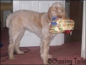 AvasGift25-12-07