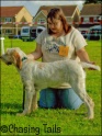 CompShow26-08-07