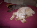 AvaBed12-11-08