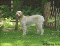 AvaGarden14-07-08