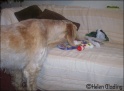 AvaGifts25-12-08