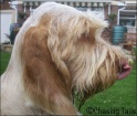 AvaLick14-07-08
