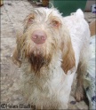 AvaMud29-11-08