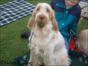 AvaPretty01-06-08