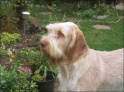 AvaPretty14-07-08