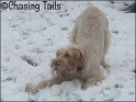 AvaSnow4_23-03-08