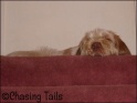 AvaStairs02-04-08