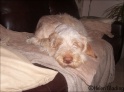 AvaAsleep23-01-09