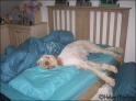AvaBed21-05-09