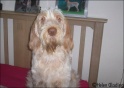 AvaCute11-05-09
