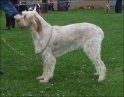 AvaEAG12-04-09