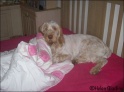 AvaSleep11-05-09