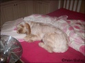 AvaSleep18-05-09