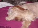 AvaSleeping27-03-09