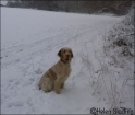 AvaSnow02-02-09_1