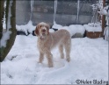 AvaSnow02-02-09_3
