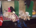 AvaThompsonSleep