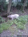 AvaWalk07-05-09_1