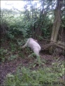 AvaWalk07-05-09_2