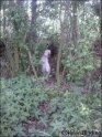 AvaWalk07-05-09_3