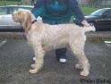 AvaWealdstone27-12-09