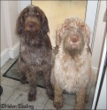 GirlsMuddy12-08-09