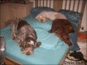 GirlsSleep20-05-09