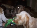 Presents25-12-09_15