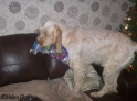 Presents25-12-09_16