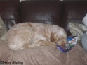 Presents25-12-09_19