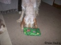 Presents25-12-09_3