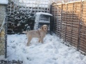 Snow18-12-09_13