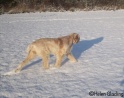 Snow18-12-09_22