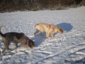Snow18-12-09_26