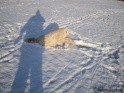 Snow18-12-09_27