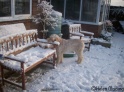 Snow18-12-09_7
