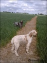 Walk19-05-09_1