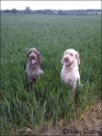 Walk19-05-09_5