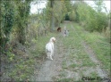 Walk20-10-09_1