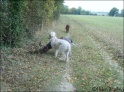 Walk20-10-09_16